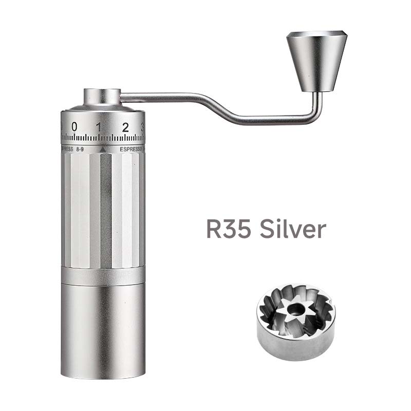 R35 Sliver